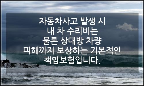 오늘의 이미지