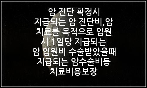 오늘의 이미지