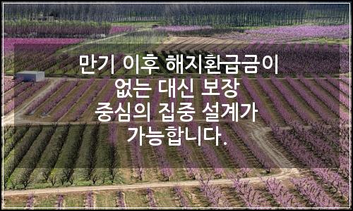 오늘의 이미지