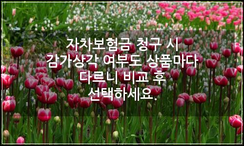 오늘의 이미지