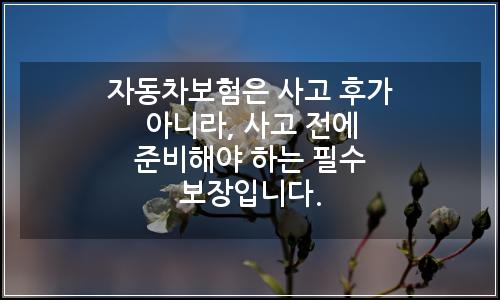 오늘의 이미지