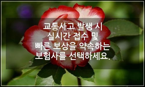 오늘의 이미지