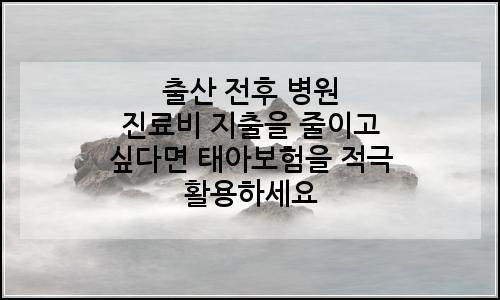 오늘의 이미지