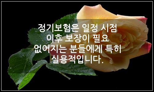오늘의 이미지