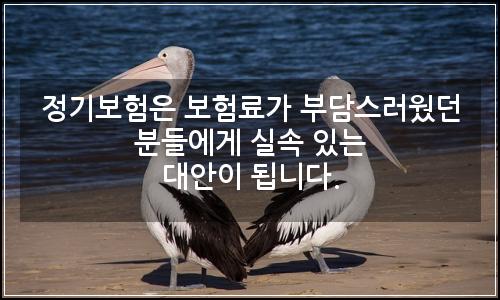 오늘의 이미지