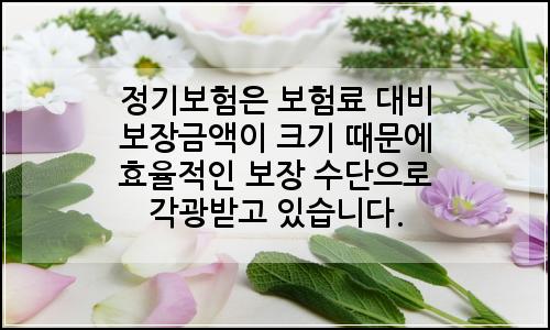 오늘의 이미지