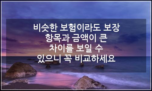 오늘의 이미지