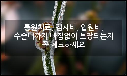 오늘의 이미지