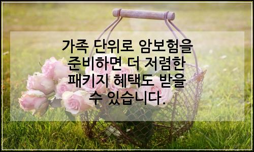 오늘의 이미지