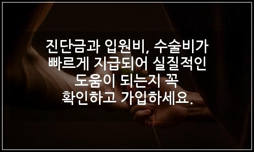 오늘의 이미지