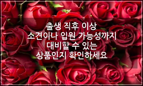 오늘의 이미지