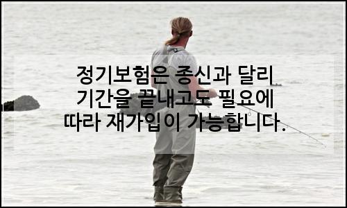 오늘의 이미지
