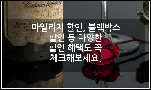 오늘의 이미지