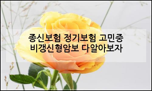 오늘의 이미지