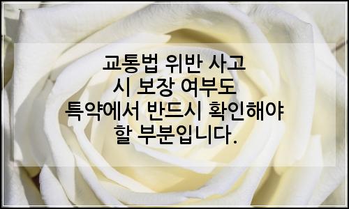 오늘의 이미지