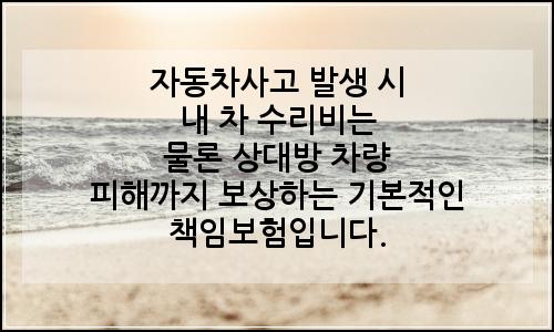오늘의 이미지