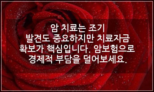 오늘의 이미지