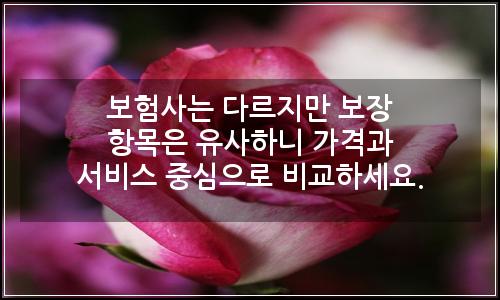 오늘의 이미지