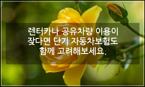 오늘의 이미지
