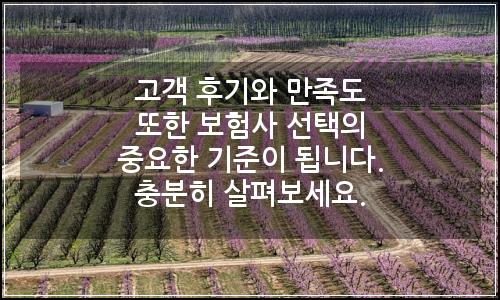 오늘의 이미지