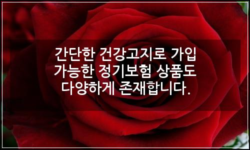 오늘의 이미지