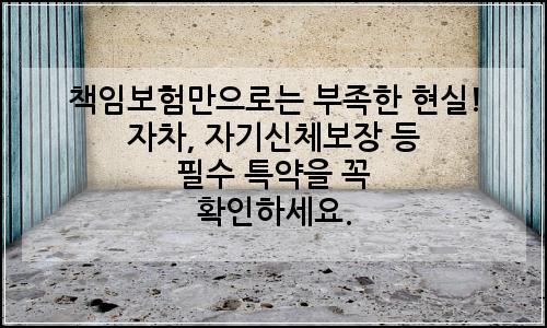 오늘의 이미지