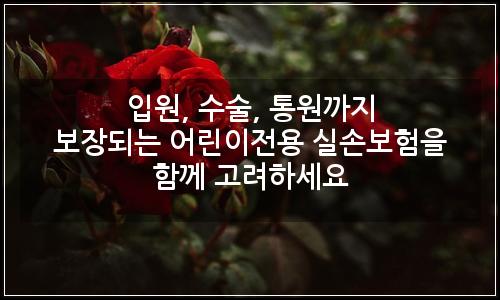 오늘의 이미지