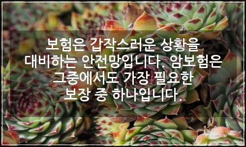 오늘의 이미지