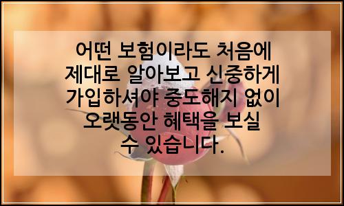 오늘의 이미지