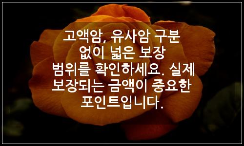오늘의 이미지