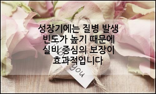 오늘의 이미지