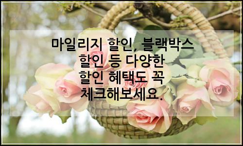 오늘의 이미지