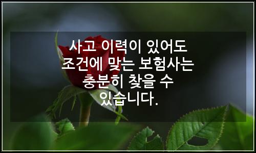 오늘의 이미지