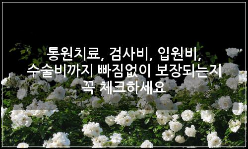오늘의 이미지