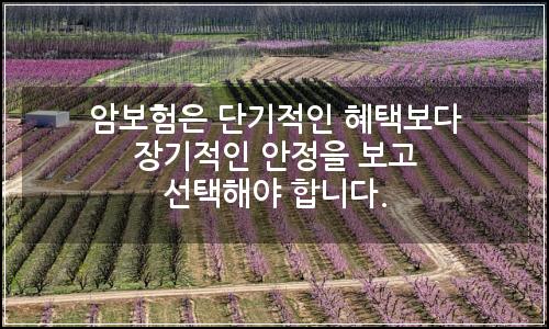 오늘의 이미지
