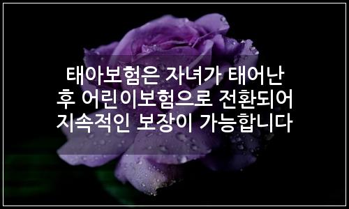 오늘의 이미지