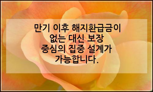 오늘의 이미지