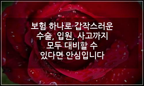 오늘의 이미지