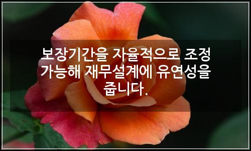 오늘의 이미지