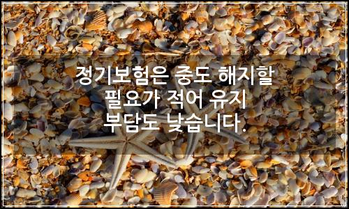 오늘의 이미지