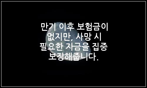 오늘의 이미지