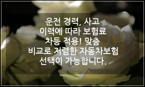 오늘의 이미지
