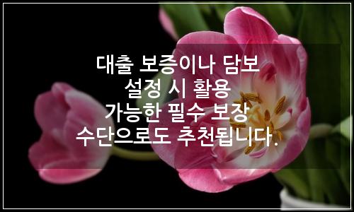 오늘의 이미지