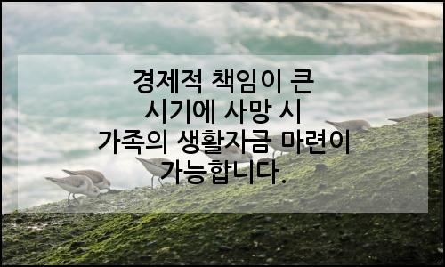 오늘의 이미지
