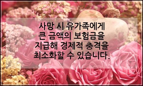 오늘의 이미지