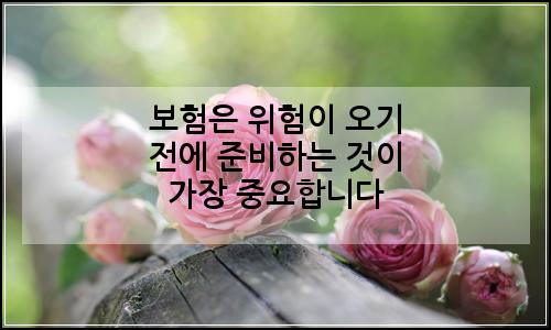 오늘의 이미지