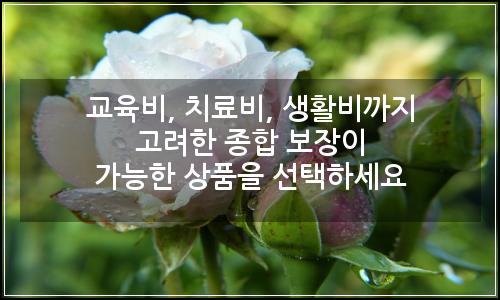 오늘의 이미지