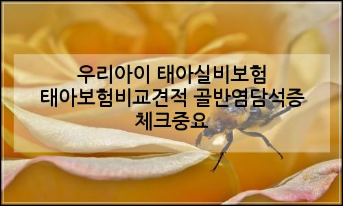 오늘의 이미지