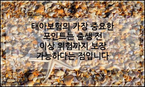 오늘의 이미지