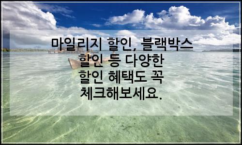 오늘의 이미지